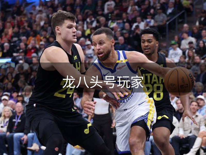 网站概况